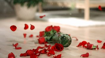 stock-video-15669603-vase-of-red-roses-falling-and-breaking